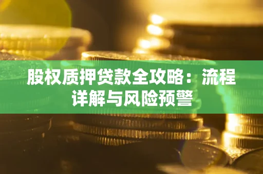 北京股权质押贷款全攻略：流程详解与风险预警
