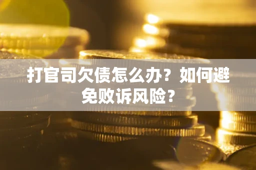 北京打官司欠债怎么办？如何避免败诉风险？