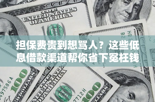 北京担保费贵到想骂人？这些低息借款渠道帮你省下冤枉钱