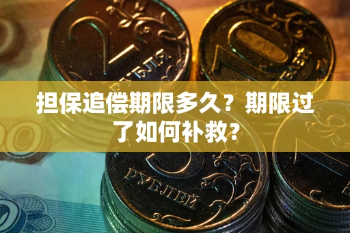 北京担保追偿期限多久？期限过了如何补救？