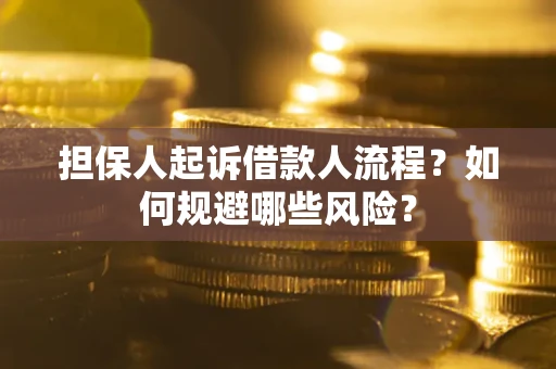 北京担保人起诉借款人流程？如何规避哪些风险？