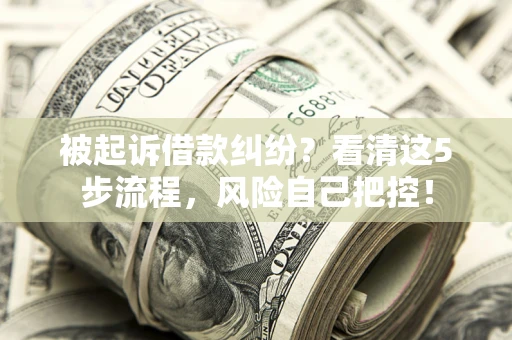北京被起诉借款纠纷？看清这5步流程，风险自己把控！